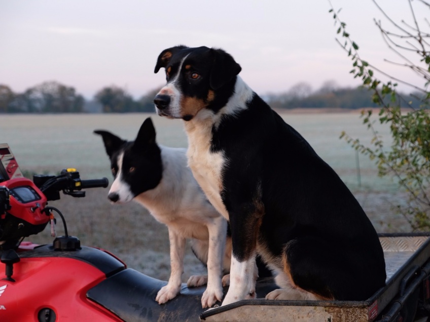 Overbury Farms Cotswolds -