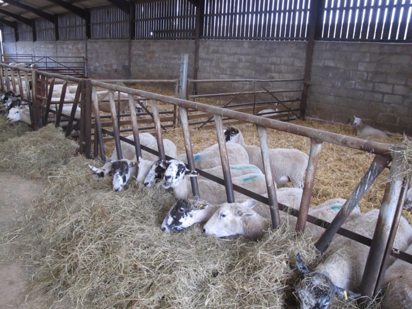 Overbury Farms Cotswolds -