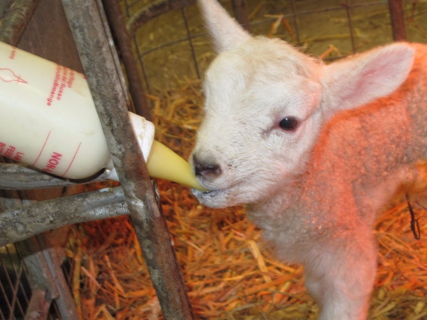 Overbury Farms Cotswolds -